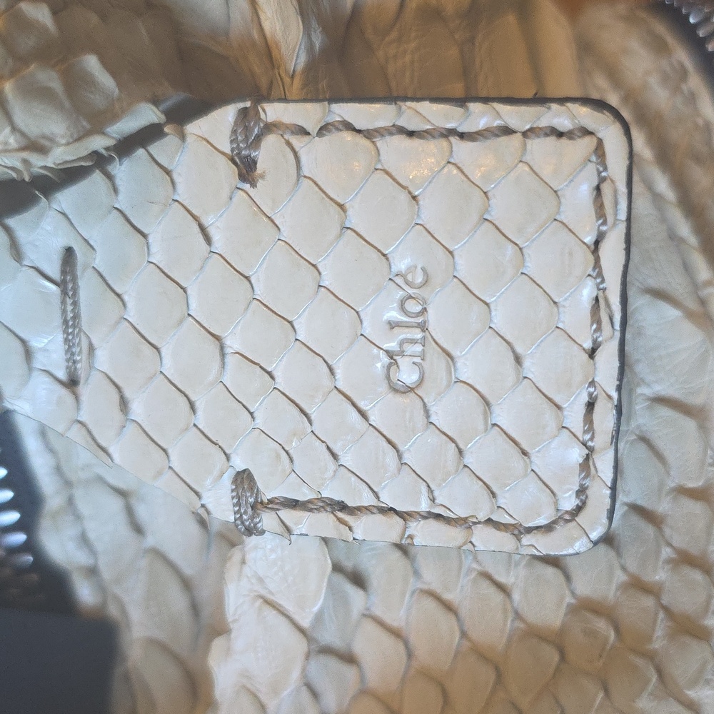 Chloe Square Python Bag - Picture 3 of 4